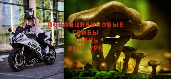 синтетический гашиш Балахна