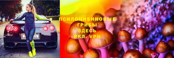 МДПВ Елабуга