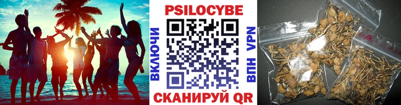 Псилоцибиновые грибы Psilocybine cubensis  Чердынь 