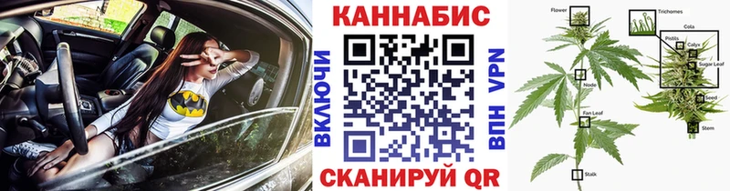 Шишки марихуана семена Чердынь